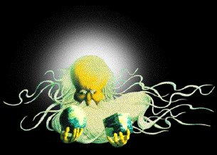 God Decides: Round or Cube Earth?